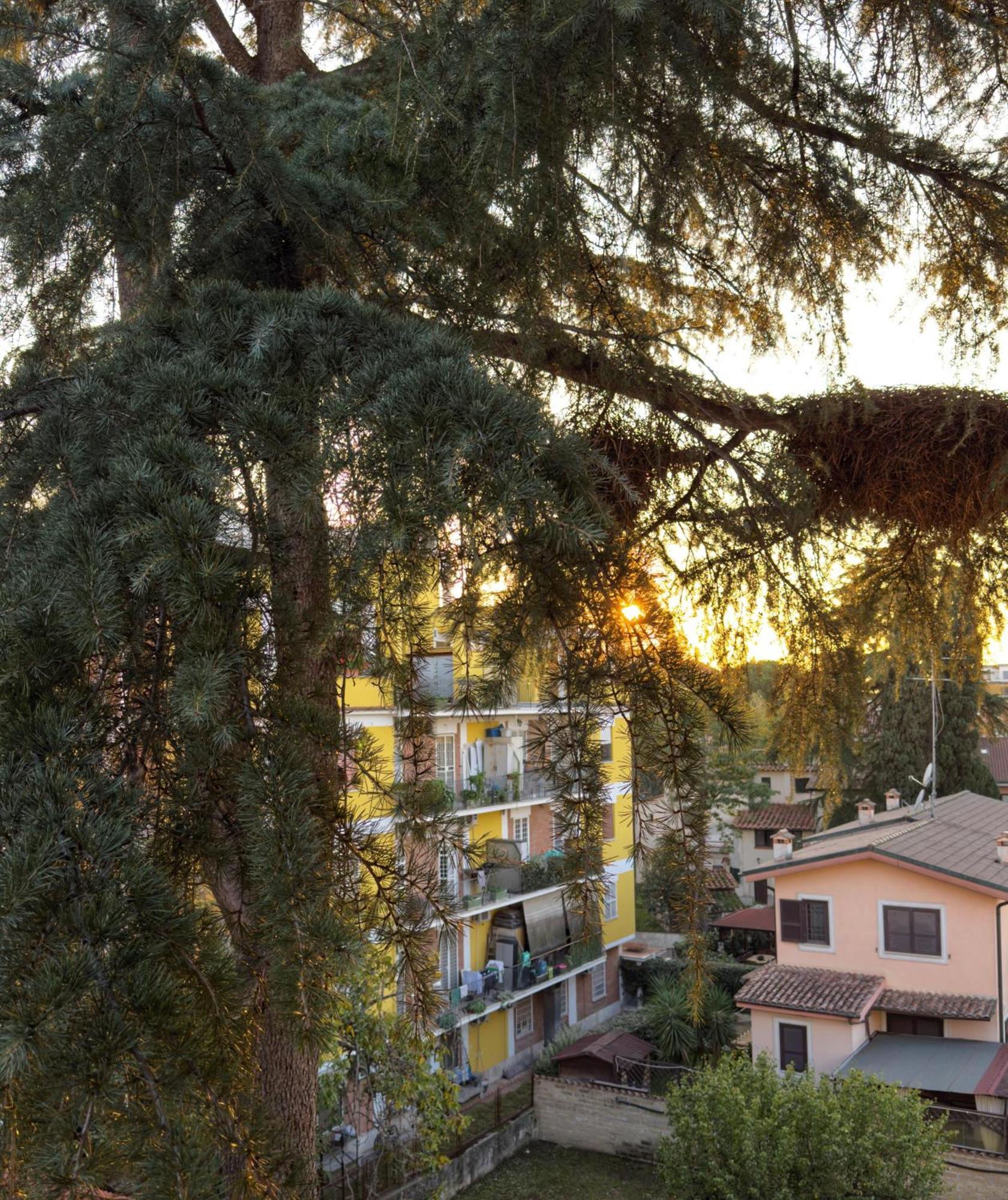 Alexander Charme In Rome Apartment Exterior photo